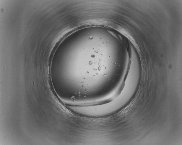 X0000064720992200602171611