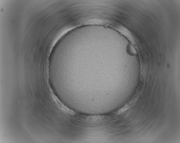 X0000064721000200602171611