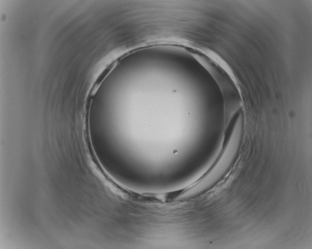 X0000064721005200602171611