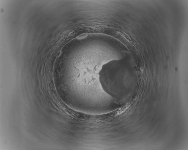 X0000064721009200602171610