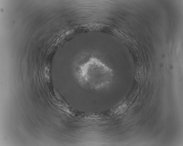 X0000064721010200602171610