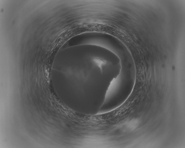 X0000064721013200602171610