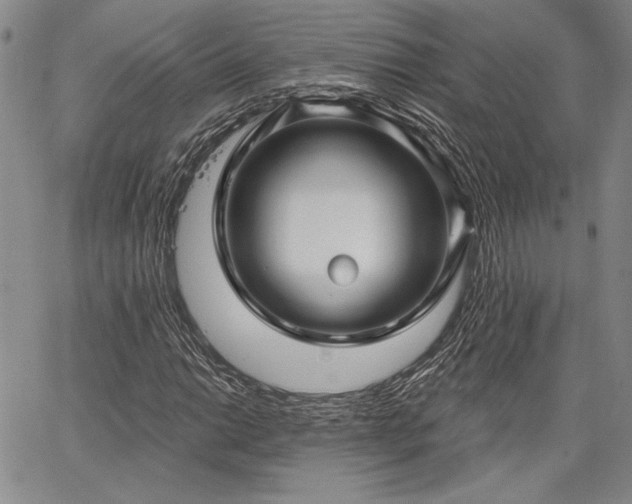 X0000064721014200602171610