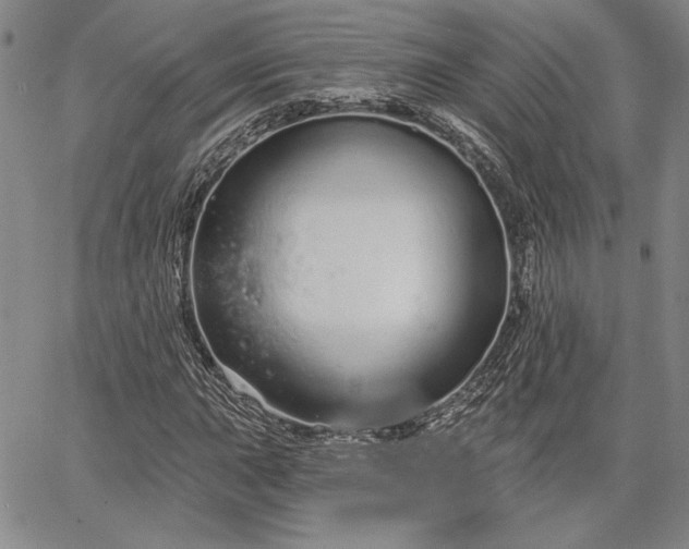 X0000064721015200602171610