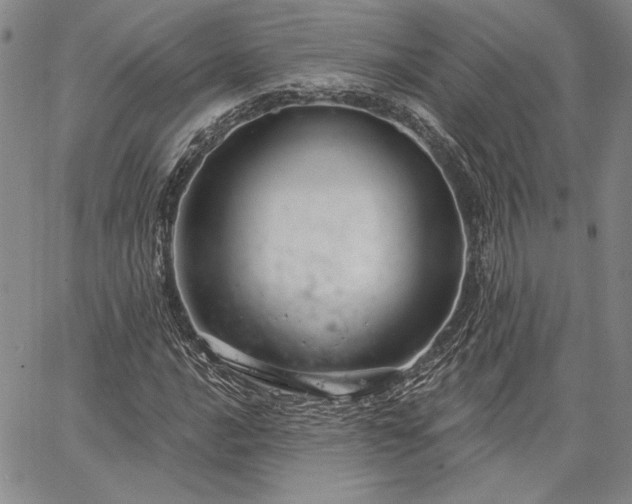 X0000064721016200602171610