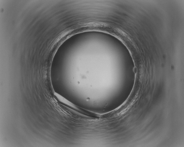 X0000064721017200602171610