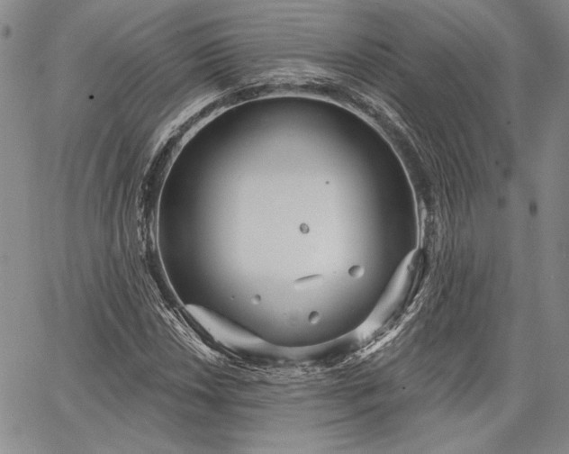 X0000064721018200602171610