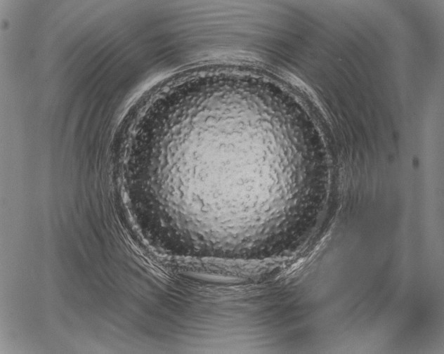 X0000064721019200602171610