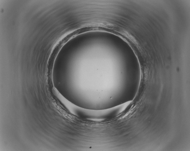 X0000064721020200602171610