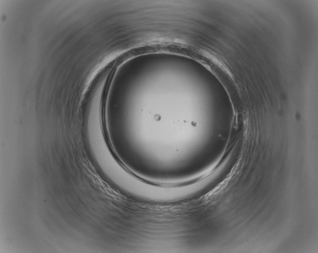 X0000064721021200602171610