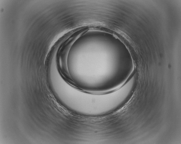 X0000064721022200602171610