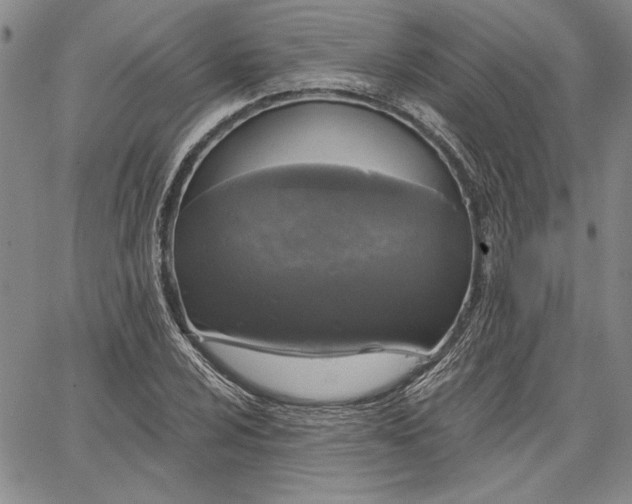 X0000064721024200602171610