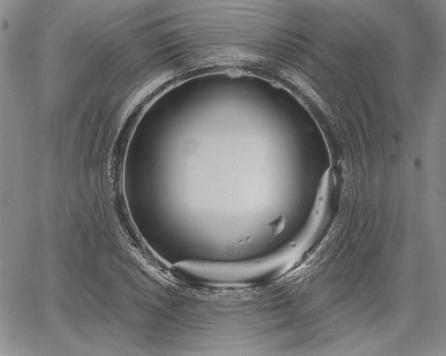 X0000064721026200602171610