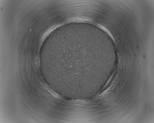 X0000064721027200602171610