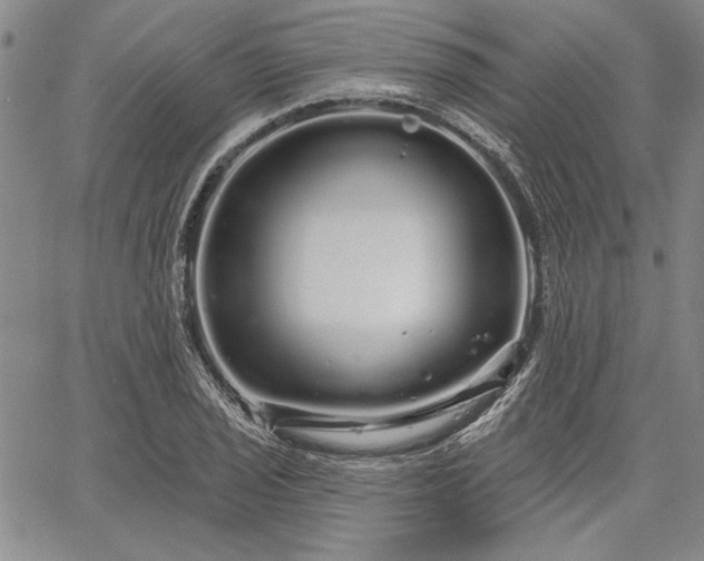 X0000064721029200602171610