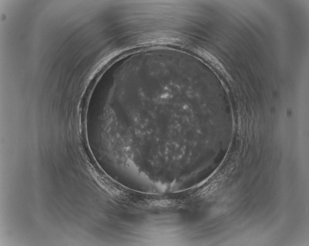 X0000064721031200602171611