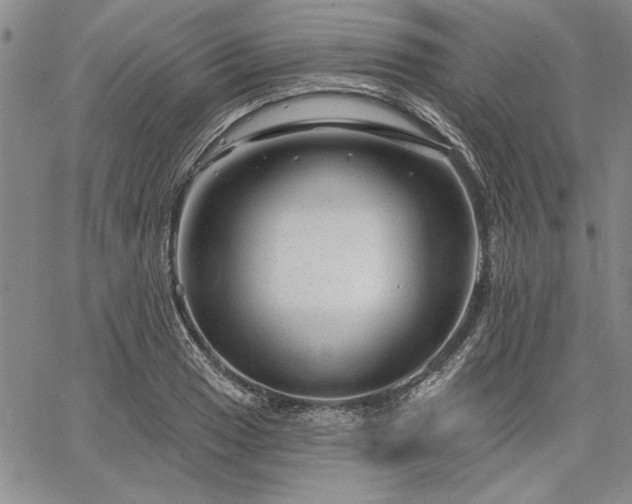 X0000064721033200602171611