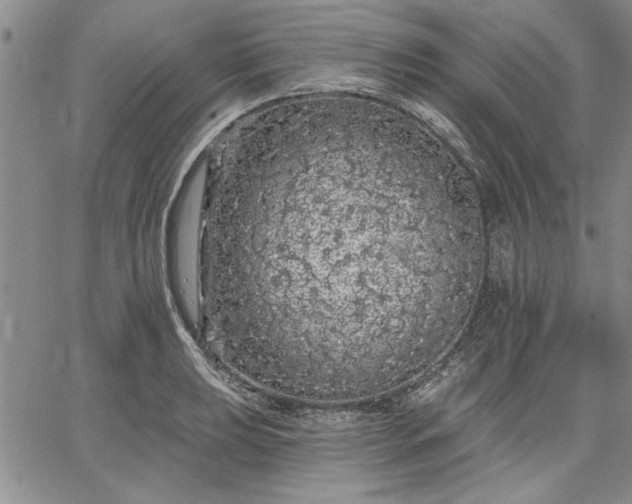 X0000064721039200602171611