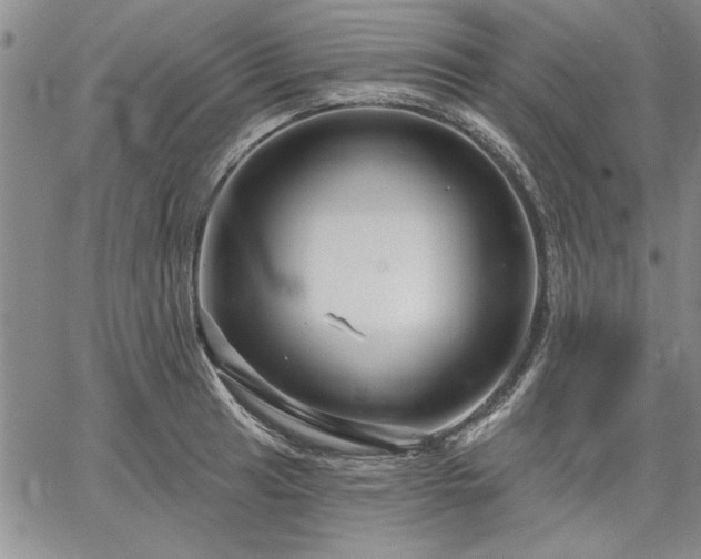 X0000064721041200602171611