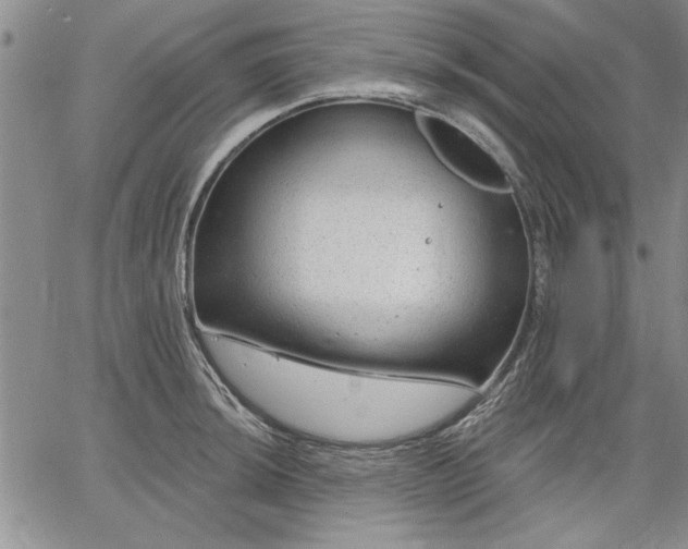 X0000064721044200602171611