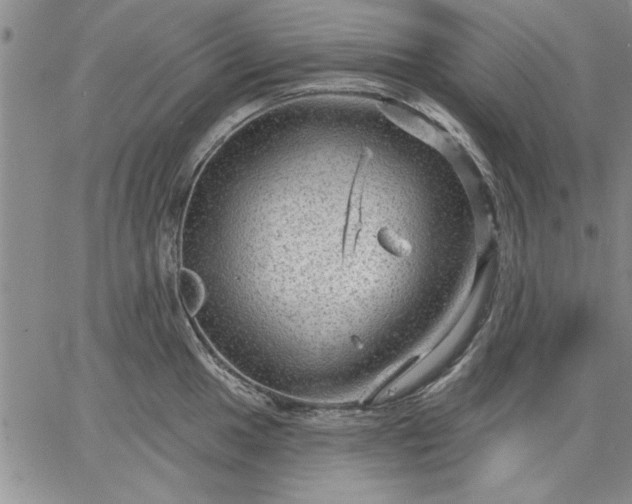 X0000064721049200602171611