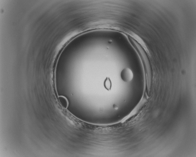 X0000064721051200602171611