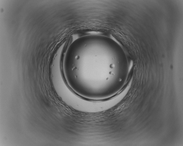 X0000064721057200602171610