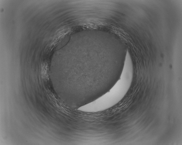 X0000064721060200602171610