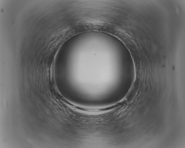 X0000064721061200602171610