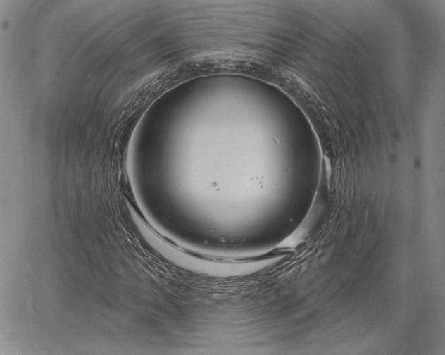 X0000064721062200602171610