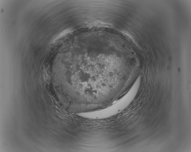 X0000064721063200602171610