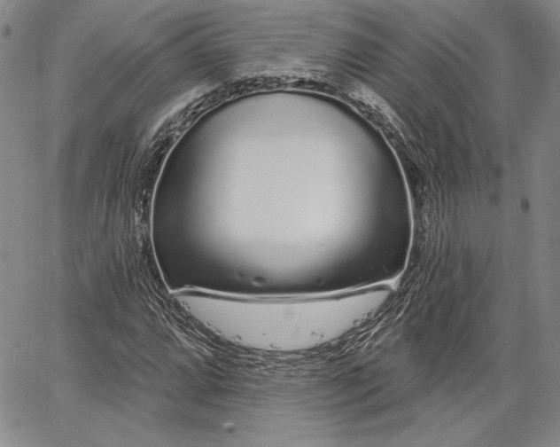 X0000064721064200602171610