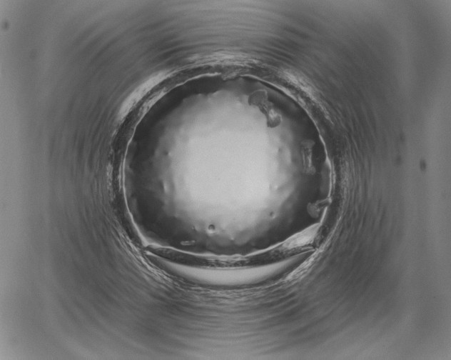 X0000064721066200602171610