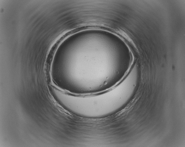 X0000064721068200602171610