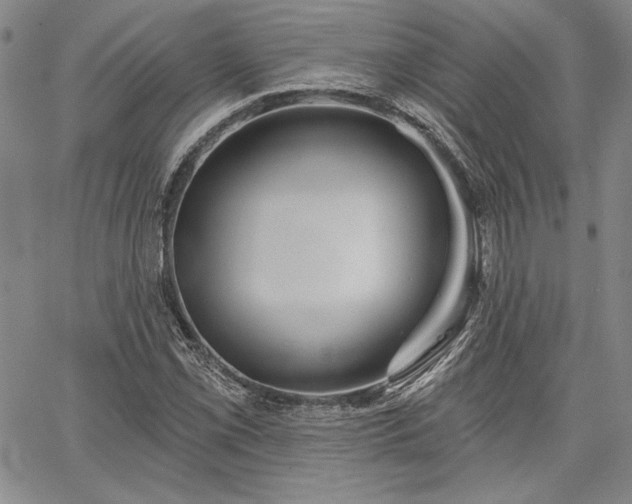 X0000064721069200602171610