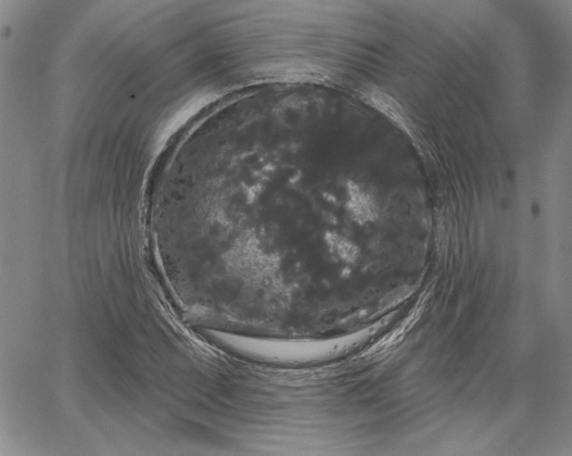 X0000064721071200602171610