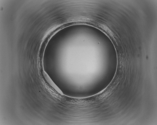 X0000064721072200602171610