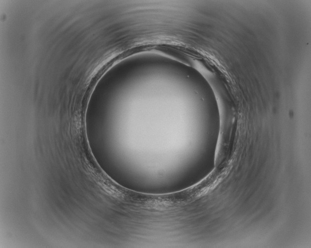 X0000064721073200602171610