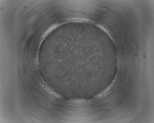 X0000064721074200602171610