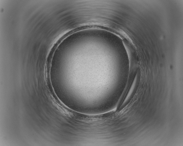 X0000064721076200602171610