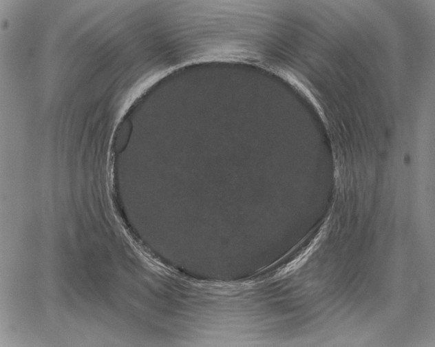 X0000064721077200602171610