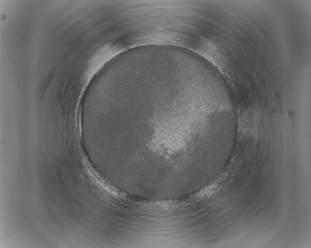 X0000064721078200602171610