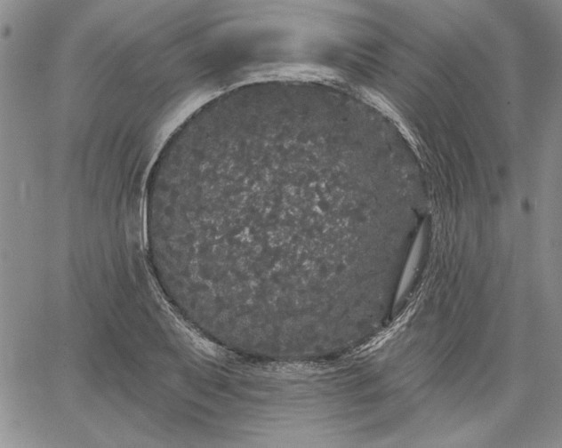 X0000064721079200602171610