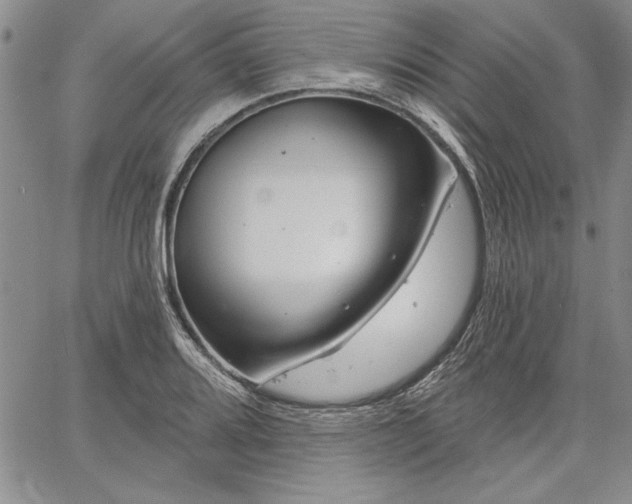 X0000064721080200602171610