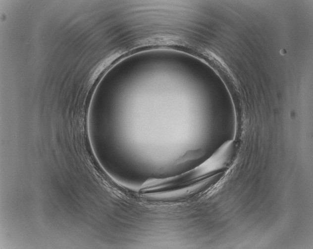 X0000064721081200602171610