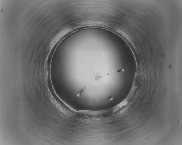 X0000064721082200602171610