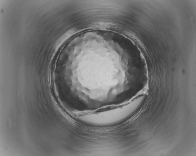 X0000064721083200602171610