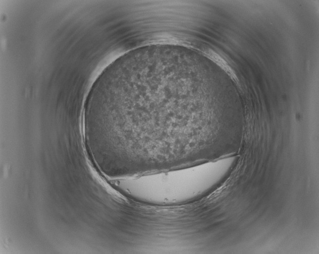 X0000064721084200602171610