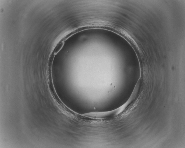 X0000064721085200602171610