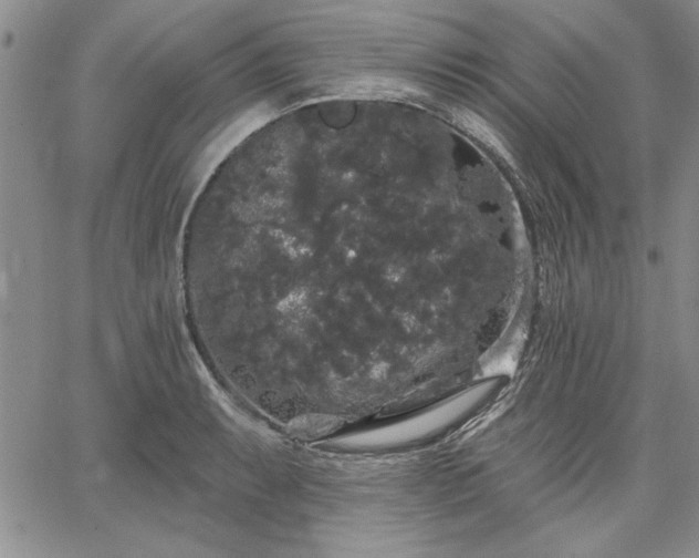 X0000064721087200602171610